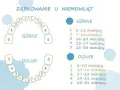 Wymiana zębów u dziecka: przewodnik dla rodziców (6-13 lat)