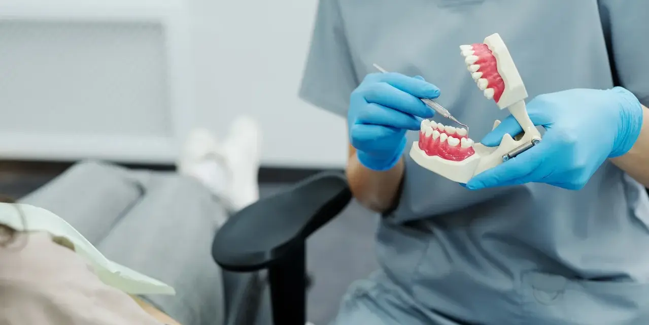 Dentysta pokazuje na modelu, jak radzić sobie z bólem ósemki.