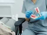 Dentysta pokazuje na modelu, jak radzić sobie z bólem ósemki.