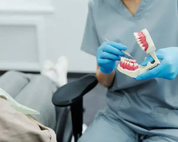 Dentysta pokazuje na modelu, jak radzić sobie z bólem ósemki.