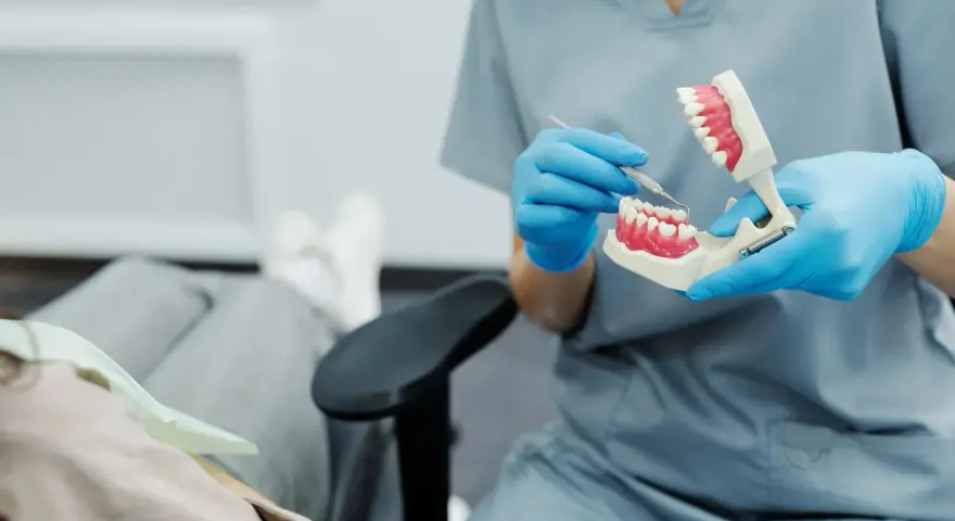 Dentysta pokazuje na modelu, jak radzić sobie z bólem ósemki.