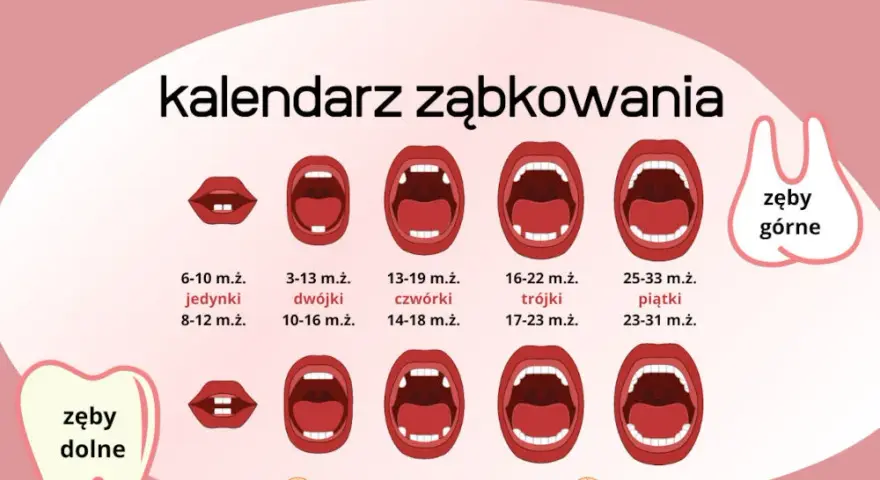 Piątki u dziecka: Kiedy wychodzą i jak ulżyć w bólu?
