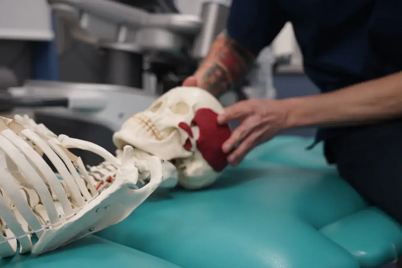 Model czaszki i szkieletu na turkusowym podłożu. Dłoń z tatuażem dotyka modelu, sugerując ból szczęki po dentyście.