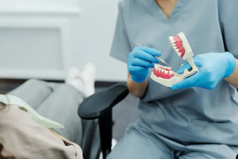 Dentysta pokazuje na modelu, jak radzić sobie z bólem ósemki.
